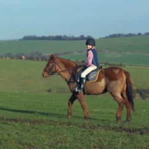chestnuts-riding-school-chestnuts-51-13-02-2007 chestnuts-riding-school-chestnuts-51-13-02-2007