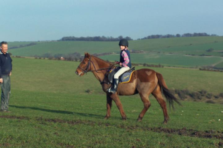 chestnuts-riding-school-chestnuts-52-13-02-2007 chestnuts-riding-school-chestnuts-52-13-02-2007