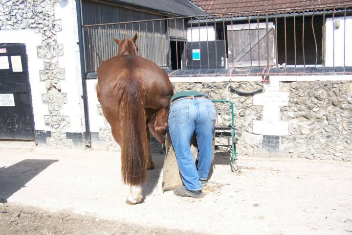 chestnuts-riding-school-kodak-02-01-2006-044 chestnuts-riding-school-kodak-02-01-2006-044