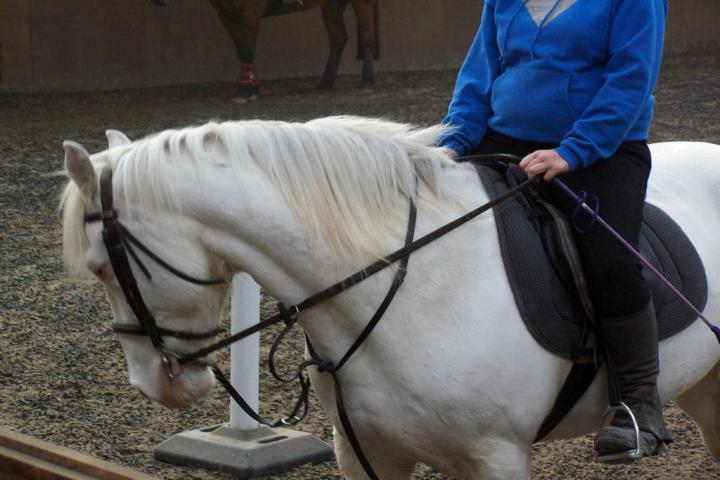chestnuts-riding-school-kodak-07-04-2007-069 chestnuts-riding-school-kodak-07-04-2007-069