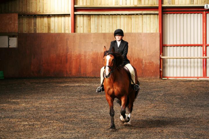 chestnuts-riding-school-sussex-brighton-dressage-2006-05-10-2008-08 chestnuts-riding-school-sussex-brighton-dressage-2006-05-10-2008-08