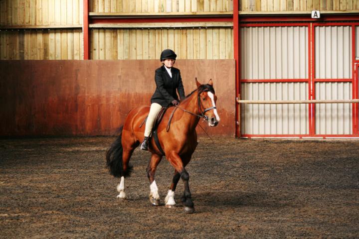 chestnuts-riding-school-sussex-brighton-dressage-2006-05-10-2008-09 chestnuts-riding-school-sussex-brighton-dressage-2006-05-10-2008-09