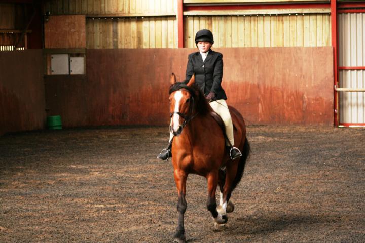 chestnuts-riding-school-sussex-brighton-dressage-2006-05-10-2008-11 chestnuts-riding-school-sussex-brighton-dressage-2006-05-10-2008-11