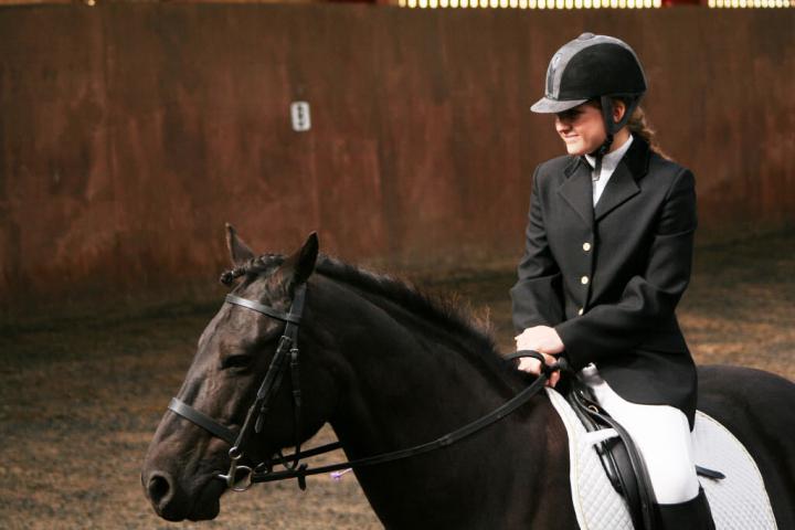 chestnuts-riding-school-sussex-brighton-dressage-2006-05-10-2008-13 chestnuts-riding-school-sussex-brighton-dressage-2006-05-10-2008-13