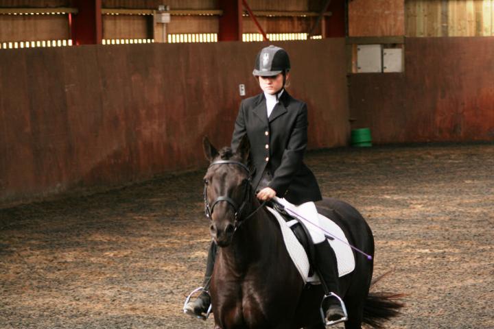 chestnuts-riding-school-sussex-brighton-dressage-2006-05-10-2008-14 chestnuts-riding-school-sussex-brighton-dressage-2006-05-10-2008-14