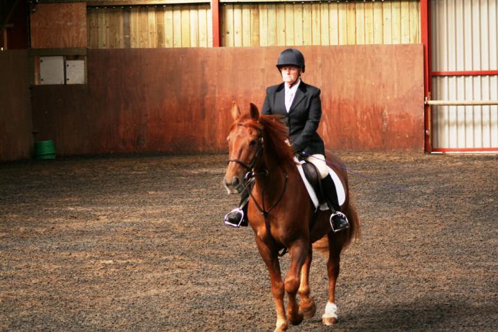 chestnuts-riding-school-sussex-brighton-dressage-2006-05-10-2008-16 chestnuts-riding-school-sussex-brighton-dressage-2006-05-10-2008-16
