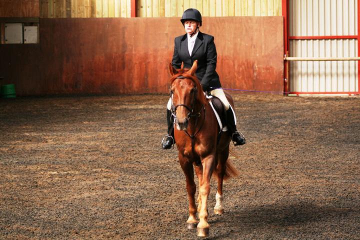 chestnuts-riding-school-sussex-brighton-dressage-2006-05-10-2008-18 chestnuts-riding-school-sussex-brighton-dressage-2006-05-10-2008-18
