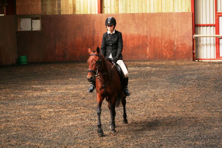 chestnuts-riding-school-sussex-brighton-dressage-2006-05-10-2008-20 chestnuts-riding-school-sussex-brighton-dressage-2006-05-10-2008-20