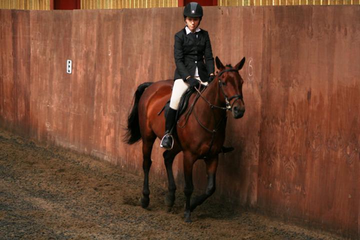 chestnuts-riding-school-sussex-brighton-dressage-2006-05-10-2008-21 chestnuts-riding-school-sussex-brighton-dressage-2006-05-10-2008-21