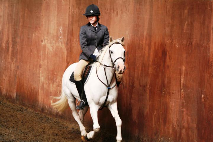 chestnuts-riding-school-sussex-brighton-dressage-2006-05-10-2008-23 chestnuts-riding-school-sussex-brighton-dressage-2006-05-10-2008-23