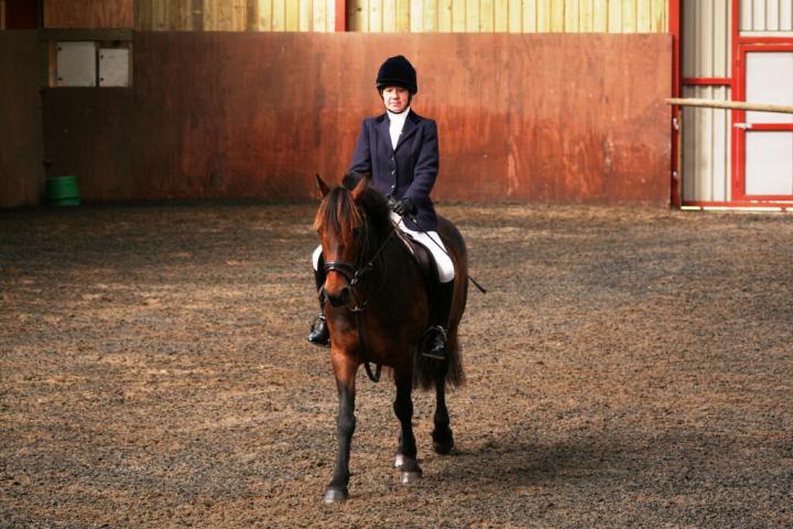 chestnuts-riding-school-sussex-brighton-dressage-2006-05-10-2008-26 chestnuts-riding-school-sussex-brighton-dressage-2006-05-10-2008-26