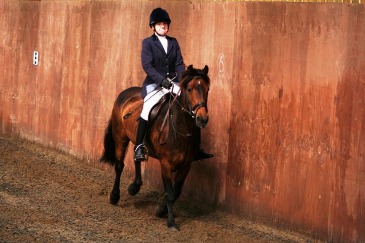 chestnuts-riding-school-sussex-brighton-dressage-2006-05-10-2008-28 chestnuts-riding-school-sussex-brighton-dressage-2006-05-10-2008-28