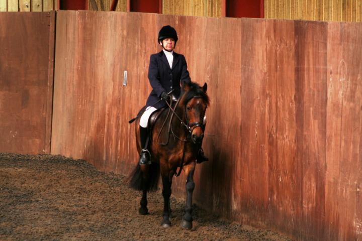 chestnuts-riding-school-sussex-brighton-dressage-2006-05-10-2008-29 chestnuts-riding-school-sussex-brighton-dressage-2006-05-10-2008-29