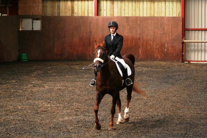 chestnuts-riding-school-sussex-brighton-dressage-2006-05-10-2008-32 chestnuts-riding-school-sussex-brighton-dressage-2006-05-10-2008-32