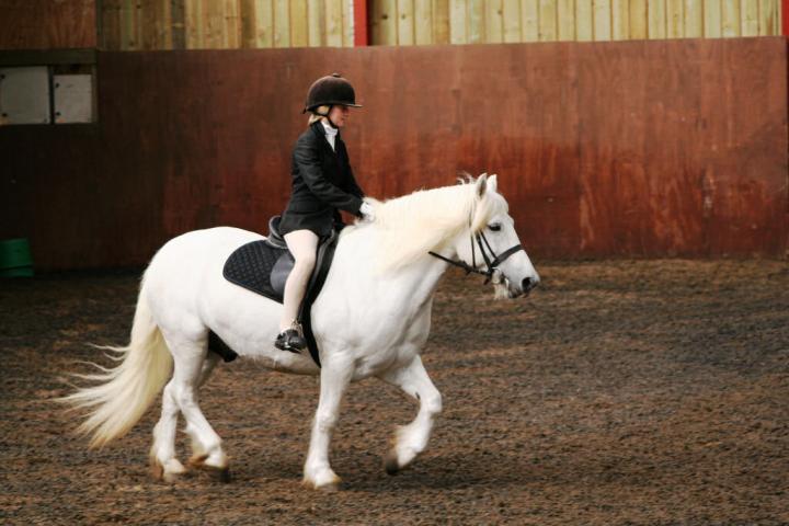 chestnuts-riding-school-sussex-brighton-dressage-2006-05-10-2008-33 chestnuts-riding-school-sussex-brighton-dressage-2006-05-10-2008-33