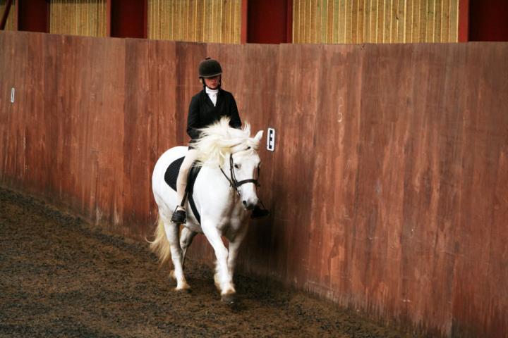 chestnuts-riding-school-sussex-brighton-dressage-2006-05-10-2008-34 chestnuts-riding-school-sussex-brighton-dressage-2006-05-10-2008-34