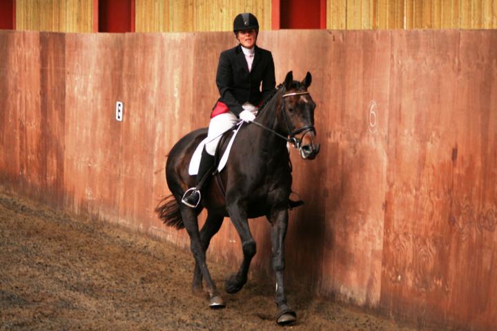 chestnuts-riding-school-sussex-brighton-dressage-2006-05-10-2008-44 chestnuts-riding-school-sussex-brighton-dressage-2006-05-10-2008-44