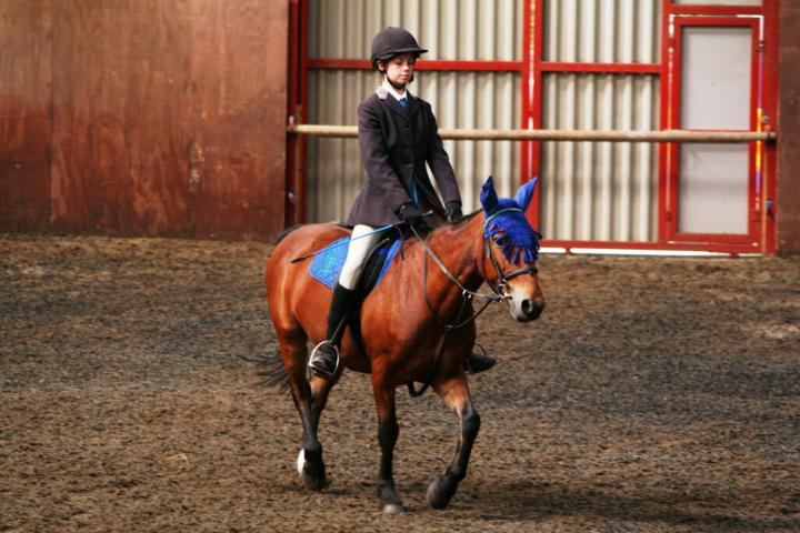 chestnuts-riding-school-sussex-brighton-dressage-2006-05-10-2008-46 chestnuts-riding-school-sussex-brighton-dressage-2006-05-10-2008-46