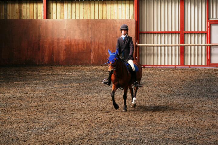 chestnuts-riding-school-sussex-brighton-dressage-2006-05-10-2008-47 chestnuts-riding-school-sussex-brighton-dressage-2006-05-10-2008-47