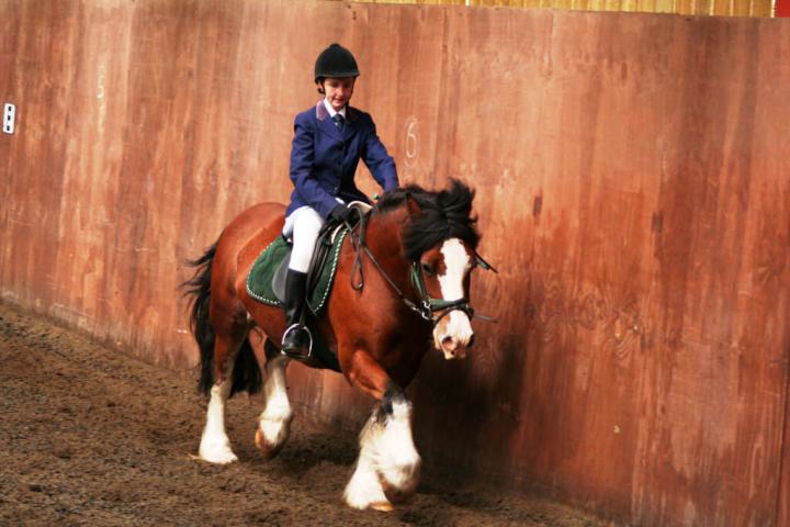 chestnuts-riding-school-sussex-brighton-dressage-2006-05-10-2008-49 chestnuts-riding-school-sussex-brighton-dressage-2006-05-10-2008-49
