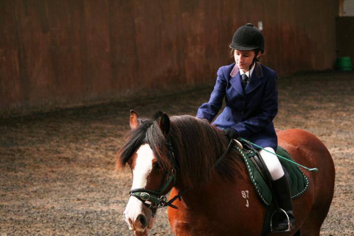 chestnuts-riding-school-sussex-brighton-dressage-2006-05-10-2008-52 chestnuts-riding-school-sussex-brighton-dressage-2006-05-10-2008-52