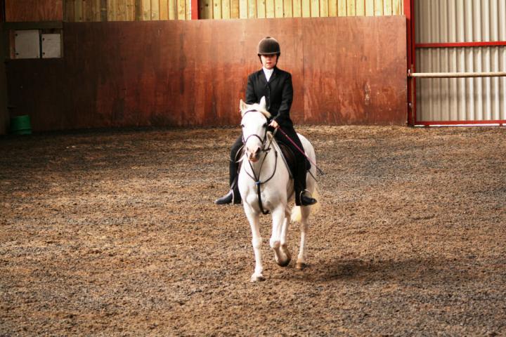 chestnuts-riding-school-sussex-brighton-dressage-2006-05-10-2008-56 chestnuts-riding-school-sussex-brighton-dressage-2006-05-10-2008-56