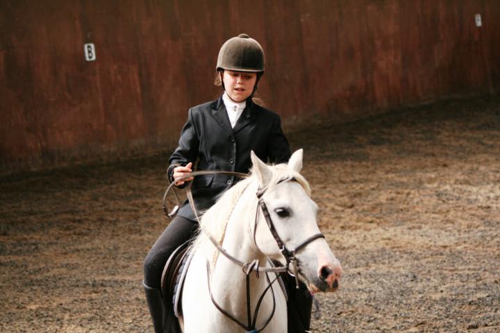 chestnuts-riding-school-sussex-brighton-dressage-2006-05-10-2008-57 chestnuts-riding-school-sussex-brighton-dressage-2006-05-10-2008-57