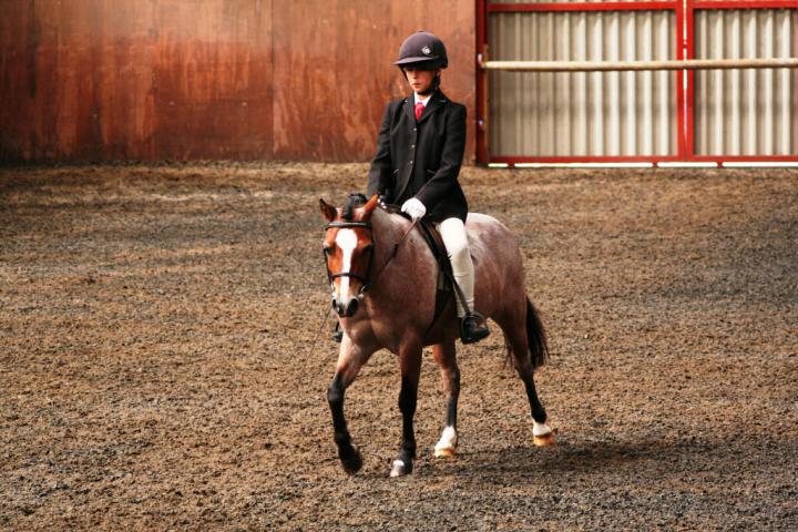 chestnuts-riding-school-sussex-brighton-dressage-2006-05-10-2008-58 chestnuts-riding-school-sussex-brighton-dressage-2006-05-10-2008-58