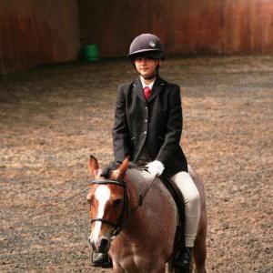 chestnuts-riding-school-sussex-brighton-dressage-2006-05-10-2008-59 chestnuts-riding-school-sussex-brighton-dressage-2006-05-10-2008-59