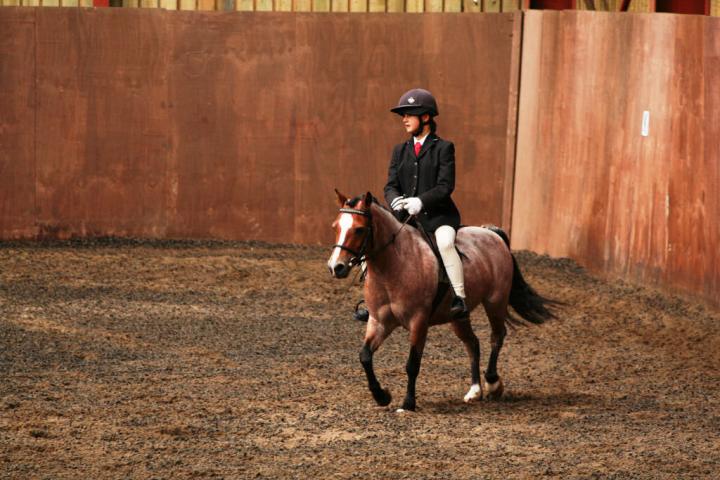 chestnuts-riding-school-sussex-brighton-dressage-2006-05-10-2008-60 chestnuts-riding-school-sussex-brighton-dressage-2006-05-10-2008-60