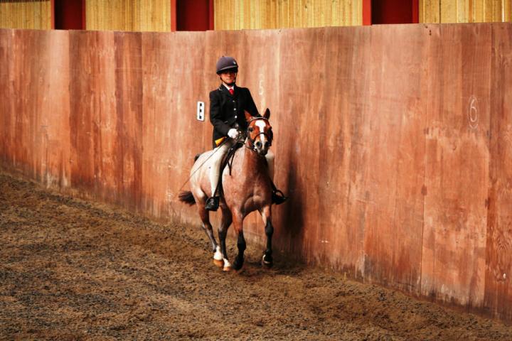 chestnuts-riding-school-sussex-brighton-dressage-2006-05-10-2008-61 chestnuts-riding-school-sussex-brighton-dressage-2006-05-10-2008-61