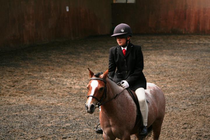 chestnuts-riding-school-sussex-brighton-dressage-2006-05-10-2008-62 chestnuts-riding-school-sussex-brighton-dressage-2006-05-10-2008-62