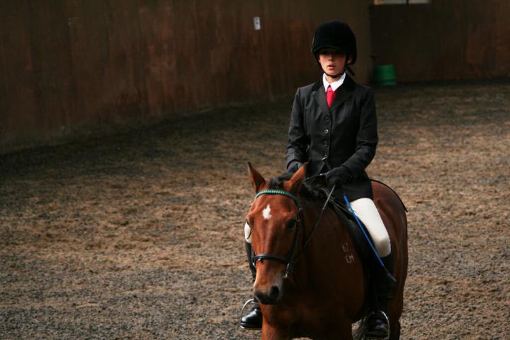chestnuts-riding-school-sussex-brighton-dressage-2006-05-10-2008-64 chestnuts-riding-school-sussex-brighton-dressage-2006-05-10-2008-64