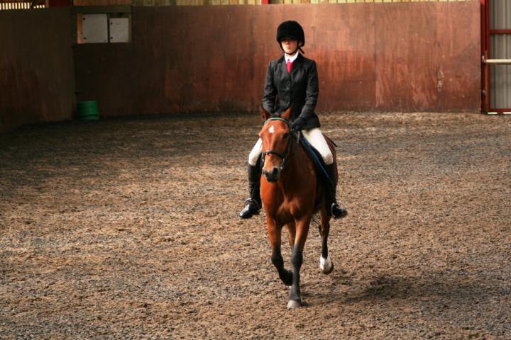 chestnuts-riding-school-sussex-brighton-dressage-2006-05-10-2008-65 chestnuts-riding-school-sussex-brighton-dressage-2006-05-10-2008-65