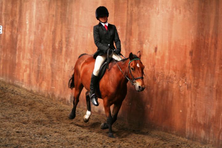 chestnuts-riding-school-sussex-brighton-dressage-2006-05-10-2008-67 chestnuts-riding-school-sussex-brighton-dressage-2006-05-10-2008-67