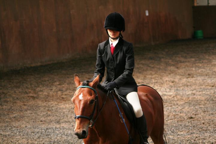 chestnuts-riding-school-sussex-brighton-dressage-2006-05-10-2008-68 chestnuts-riding-school-sussex-brighton-dressage-2006-05-10-2008-68