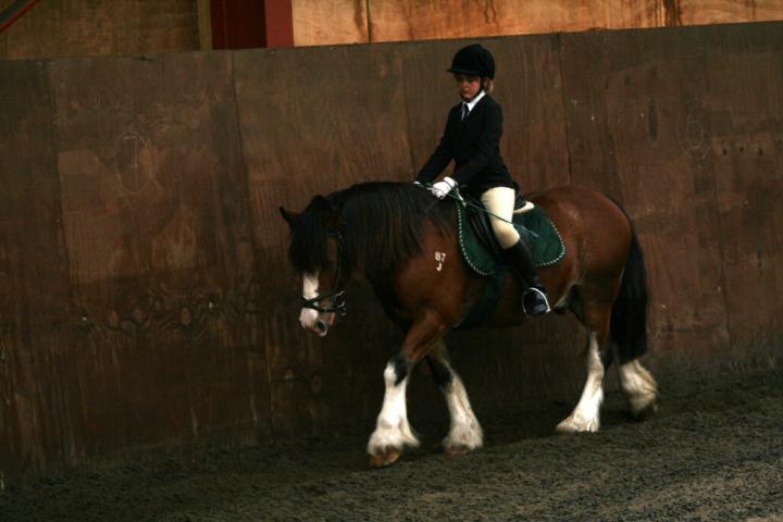 chestnuts-riding-school-sussex-brighton-dressage-2006-05-10-2008-69 chestnuts-riding-school-sussex-brighton-dressage-2006-05-10-2008-69