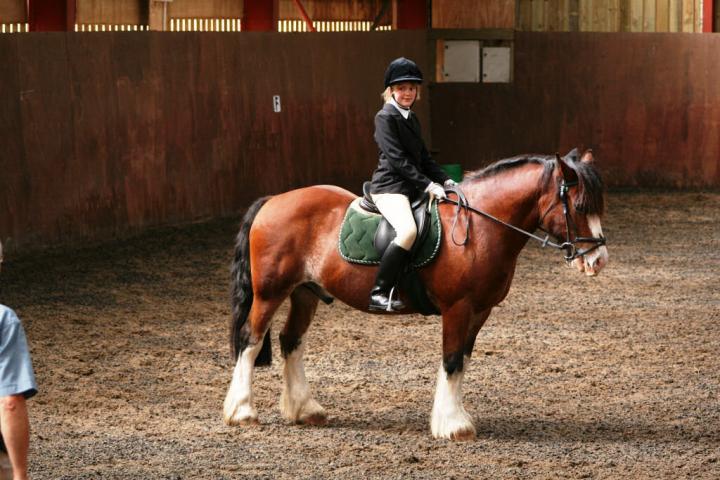 chestnuts-riding-school-sussex-brighton-dressage-2006-05-10-2008-70 chestnuts-riding-school-sussex-brighton-dressage-2006-05-10-2008-70