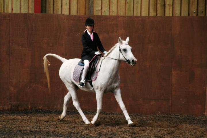 chestnuts-riding-school-sussex-brighton-dressage-2006-05-10-2008-83 chestnuts-riding-school-sussex-brighton-dressage-2006-05-10-2008-83
