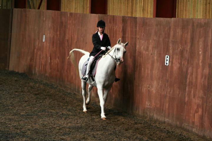 chestnuts-riding-school-sussex-brighton-dressage-2006-05-10-2008-84 chestnuts-riding-school-sussex-brighton-dressage-2006-05-10-2008-84