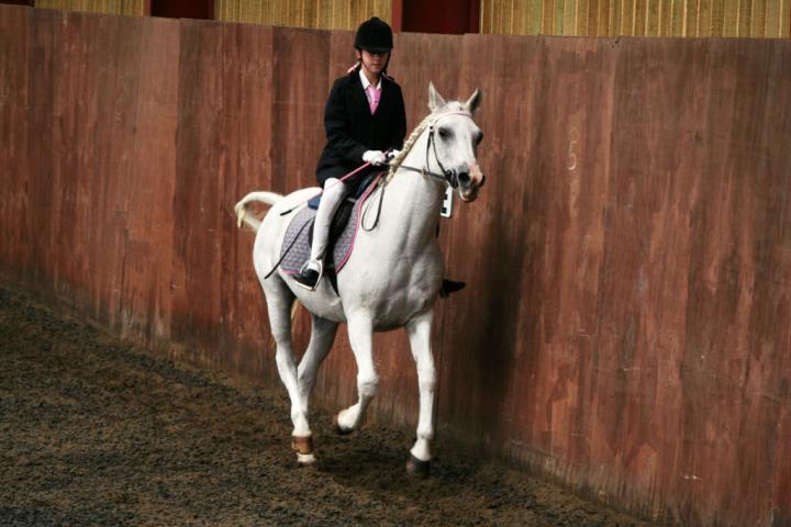 chestnuts-riding-school-sussex-brighton-dressage-2006-05-10-2008-85 chestnuts-riding-school-sussex-brighton-dressage-2006-05-10-2008-85