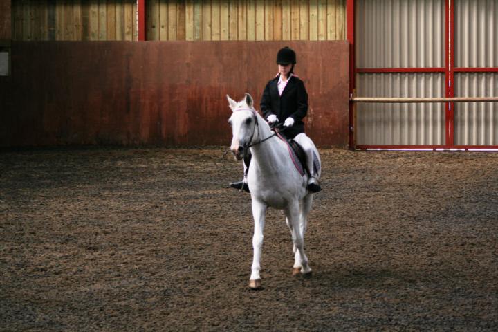 chestnuts-riding-school-sussex-brighton-dressage-2006-05-10-2008-87 chestnuts-riding-school-sussex-brighton-dressage-2006-05-10-2008-87