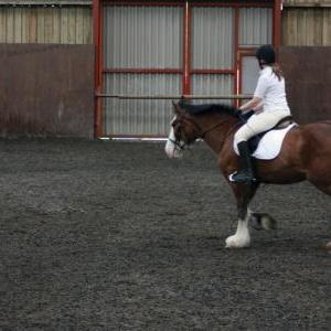 katie-and-daisy-chestnuts-riding-school-13-05-2009-b012-07