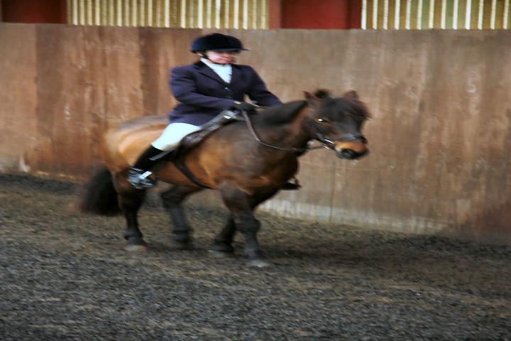 patsy-and-bud-chestnuts-riding-school-13-05-2009-b014-10