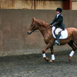 victoria-and-mcginty-chestnuts-riding-school-13-05-2009-b008-19